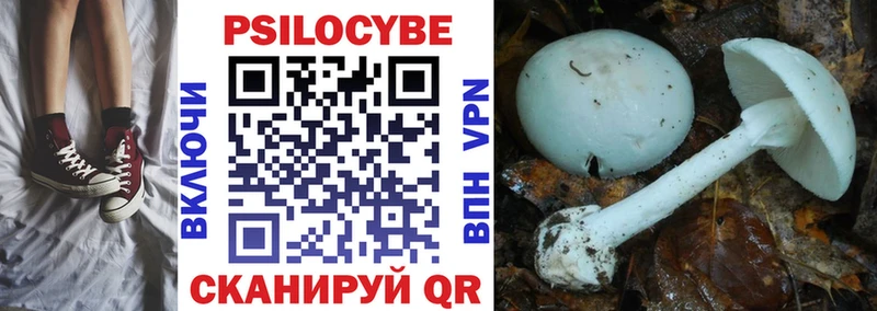 blacksprut вход  даркнет Telegram  Галлюциногенные грибы MAGIC MUSHROOMS  Северская 